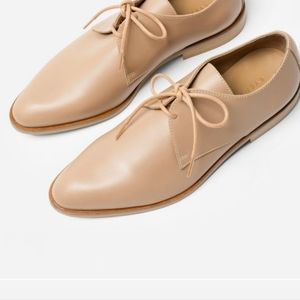 Everlane Oxford laceup Shoes